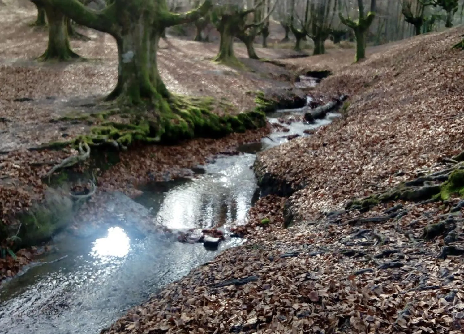 Casa Rural En El Parque Natural Del Gorbea, 2,3,4,5 Pax Murua Espagne